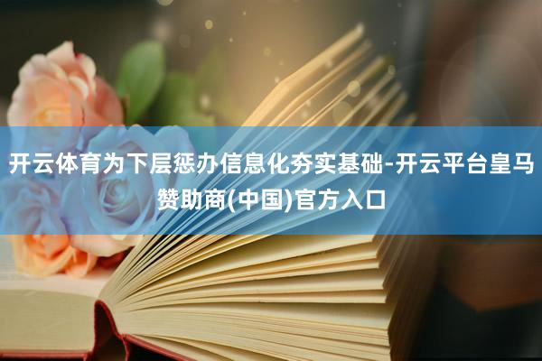 开云体育为下层惩办信息化夯实基础-开云平台皇马赞助商(中国)