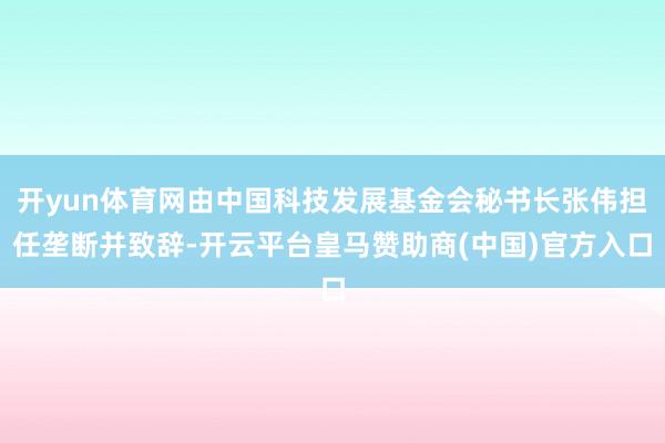 开yun体育网由中国科技发展基金会秘书长张伟担任垄断并致辞-